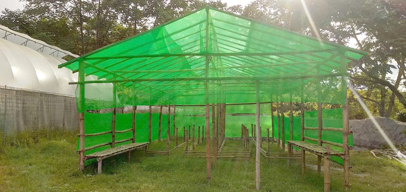 Ready for More Seedlings! La Salle Botanical Gardens